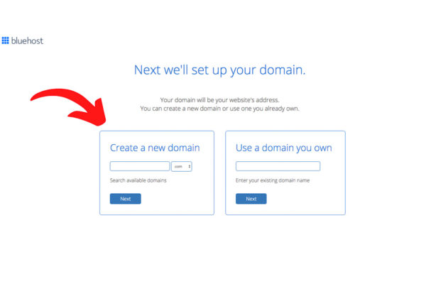 Bluehost set up domain